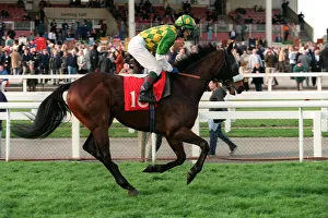 Fallon Prints: Topton