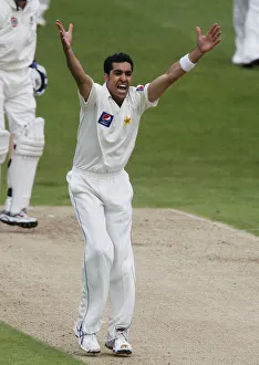 Umar Gul Celebrates