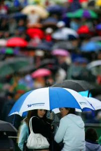 Art Or Moody Prints: Umbrellas