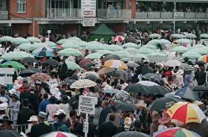 Umbrellas Prints: Umbrellas At Royal Ascot