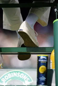Art Or Moody Prints: Umpires Chair