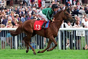 Eddery Prints: Unseeded