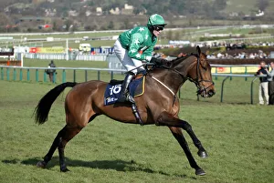 Scudamore Prints: Va Vavoom