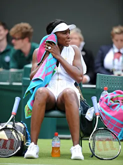 Venus Williams