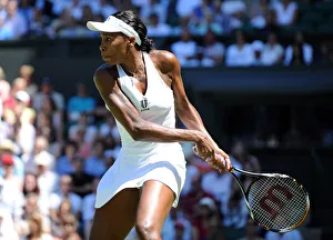 Venus Williams