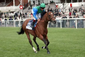 Eddery Prints: Vision Of Night