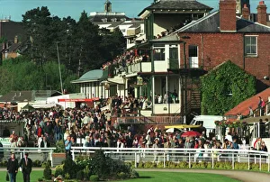View Prints: Warwick Races