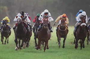 View Prints: Warwick Races. Head On Racing