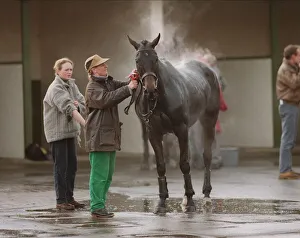 Races Prints: Washdown