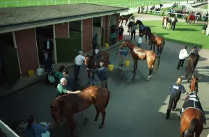 View Prints: Washing Down Warwick Races