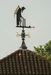 Trending: Weather Vine At Lords Cricket