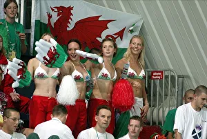 Art Or Moody Prints: Welsh Swimming Fans