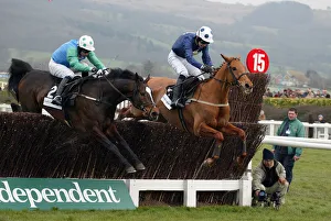 Winner Prints: Winner Contraband & Ashley Brook