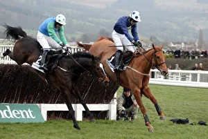 Winner Contraband & Ashley Brook