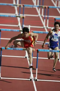 110m Prints: Xiang Liu