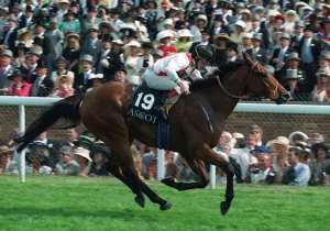 Fallon Prints: Yeas Wins Royal Hunt Cup