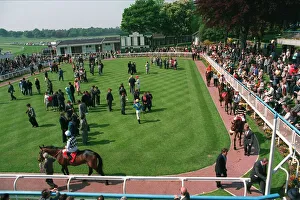 View Prints: York Gv Of Parade Ring