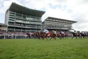 Grandstands Prints: York Racecourse Grandstands
