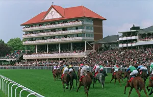 View Prints: York Races