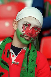 Young Prints: Young Wales Ru Fan