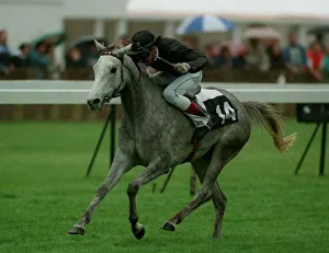 Emirates Prints: Zayna Wins Wins Emirates Arab