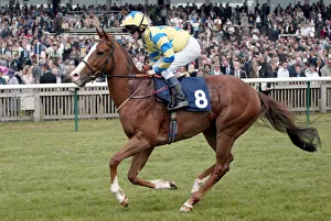 Guineas Prints: Zilch