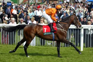 Darley Prints: Zindabad