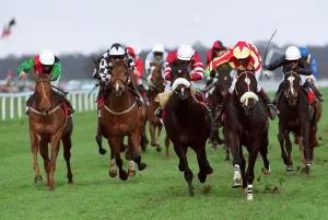 Field Prints: Zucchero Leads The Field